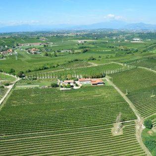 Le Bianchette E Fattoria Didattica Agroturismo Sommacampagna